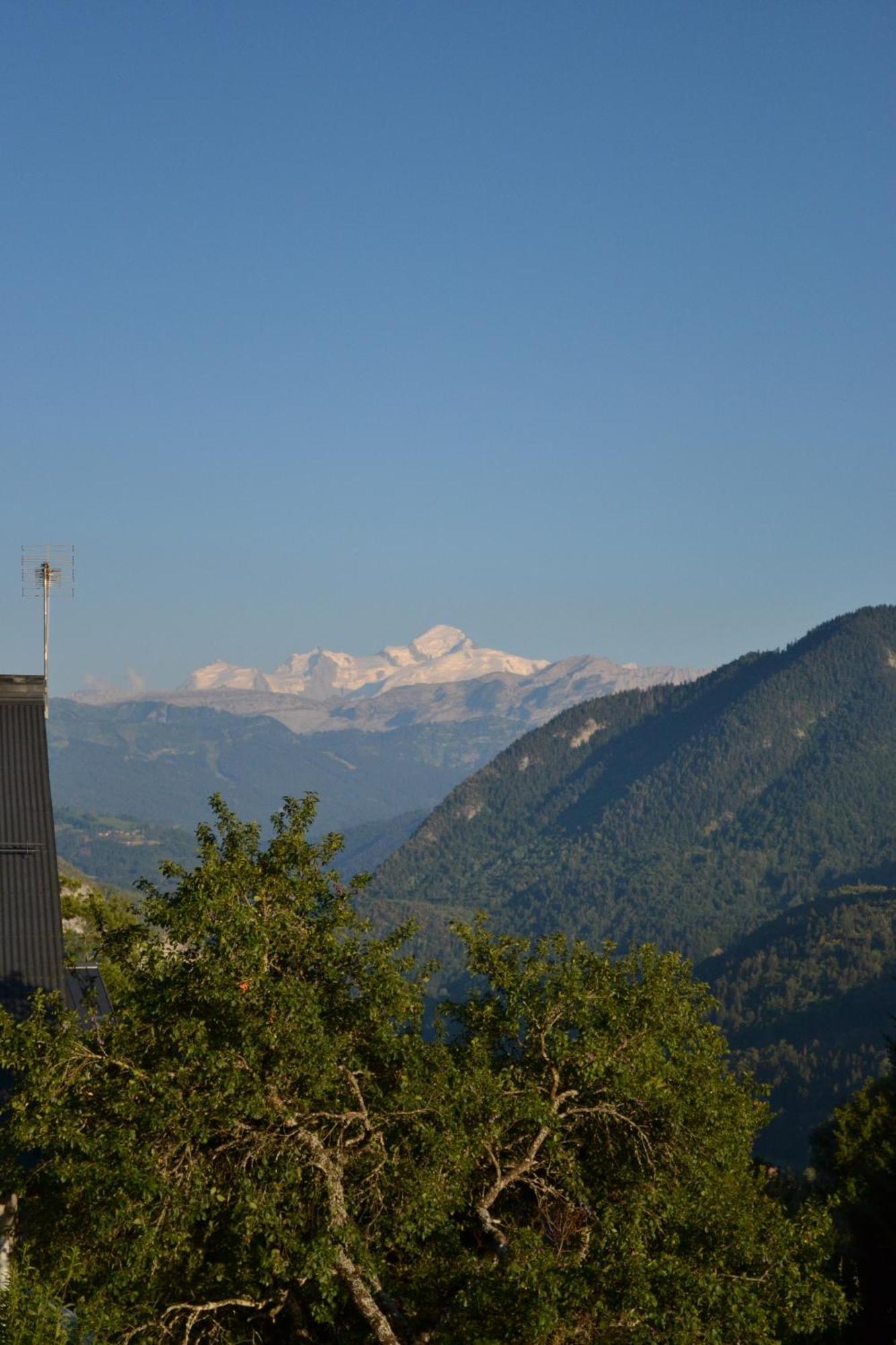 Вилла La Belle Des Praz Mieussy Номер фото